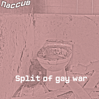 Split of Gay War