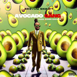 Avocaco Gang