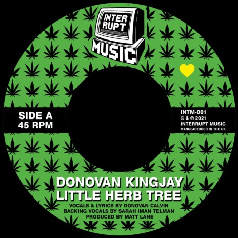 Little Herb Dub ft. Donovan Kingjay | Boomplay Music
