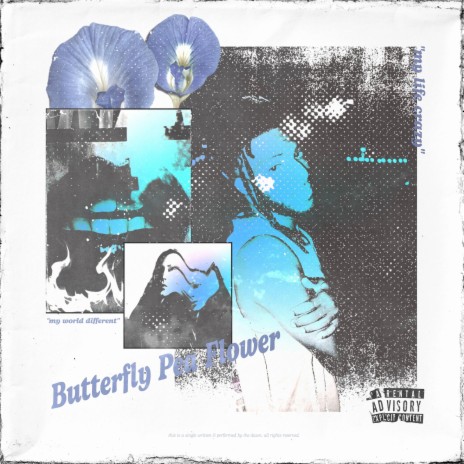 Butterfly Pea Flower | Boomplay Music