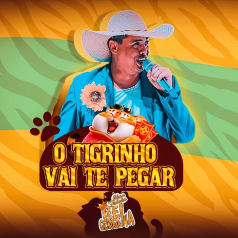 O Tigrinho Vai Te Pegar | Boomplay Music