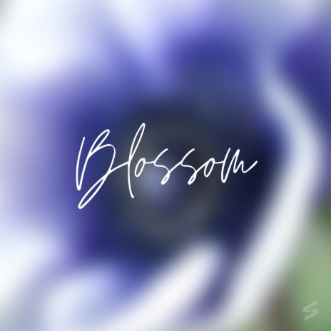 Blossom | Boomplay Music