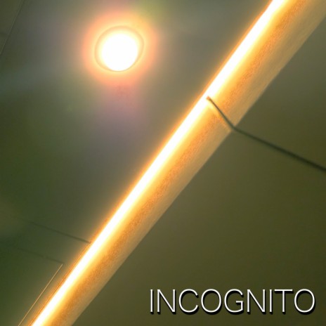 Incognito | Boomplay Music