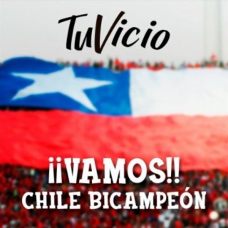 ¡¡Vamos!! Chile Bicampeón