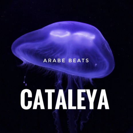 Cataleya | Boomplay Music