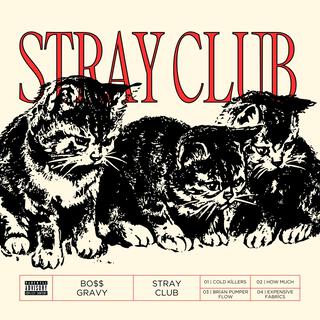 Stray Club