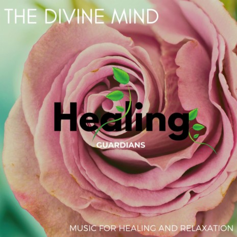 Healing Yoga Nindra | Boomplay Music