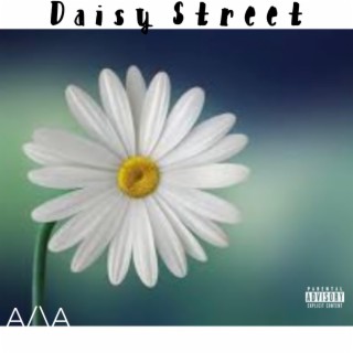 Daisy St.