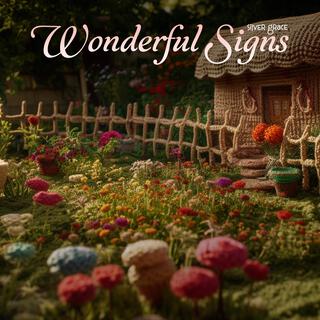 Wonderful Signs