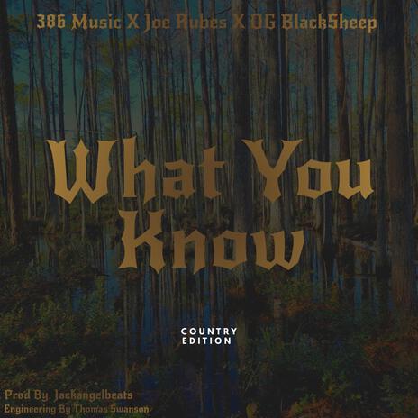 What You Know ft. O.G. BlackSheep & Twisted Wrench | Boomplay Music