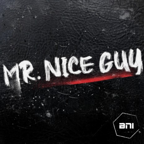 Mr Nice Guy | Boomplay Music
