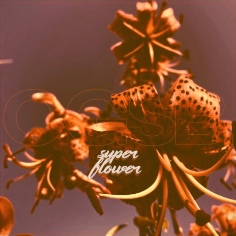 super flower. | Boomplay Music
