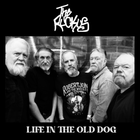 Life In The Old Dog | Boomplay Music