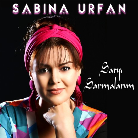 Sarıp Sarmalarım | Boomplay Music