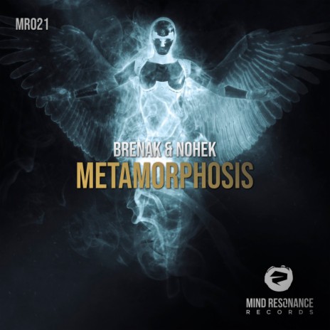 Metamorphosis (Radio Edit) ft. Nohek | Boomplay Music