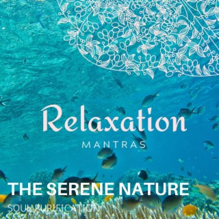 The Serene Nature - Soul Purification