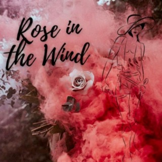 Rose in the Wind