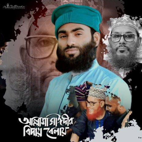 Allama Delwar Hossain Saydee Bidai | Boomplay Music