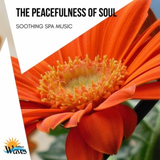 The Peacefulness of Soul - Soothing Spa Music