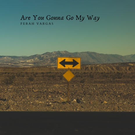 Are You Gonna Go My Way | Boomplay Music