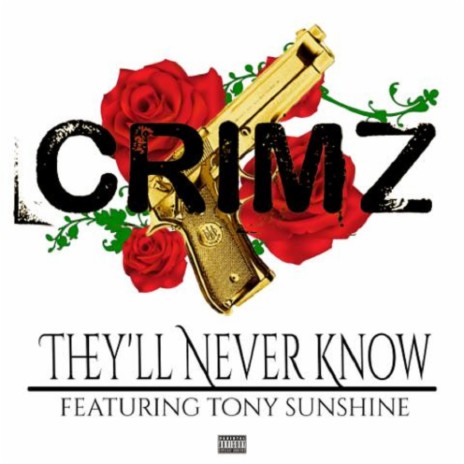 They'll Never Know ft. Tony Sunshine