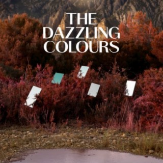 The Dazzling Colours