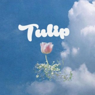 Tulip