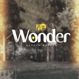 Wonder lyrics | Boomplay Music