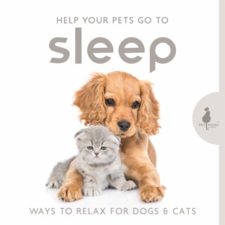 Help Your Pets Go to Sleep: Ways to Relax for Dogs & Cats - Hyperactive Puppies Therapy Music for Long Deep Dream, Separation Anxiety