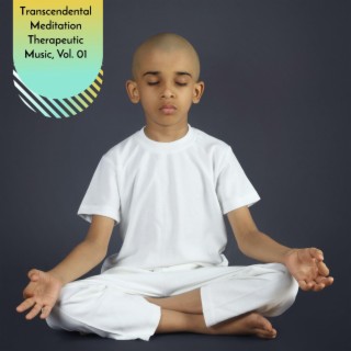 Transcendental Meditation Therapeutic Music, Vol. 01