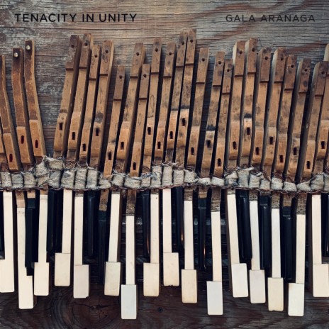 Tenacity in Unity | Boomplay Music