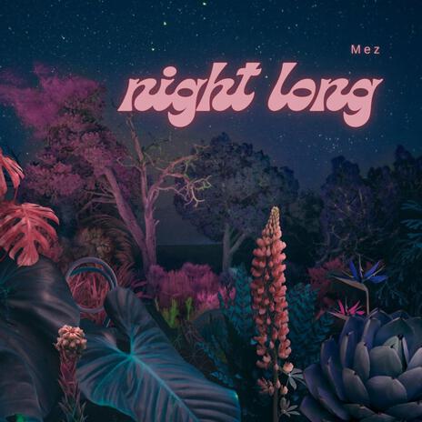 Nigth Long | Boomplay Music