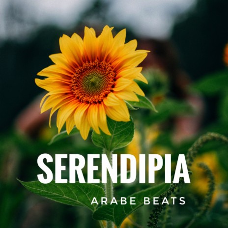 Serendipia | Boomplay Music