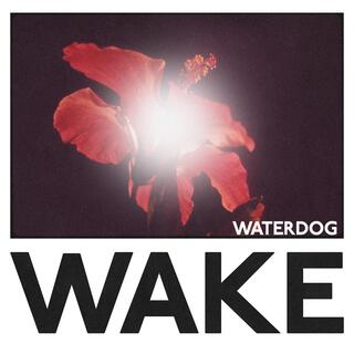 Wake