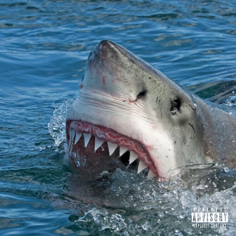 Shark Tales ft. Kaybeo & BAKSETE | Boomplay Music