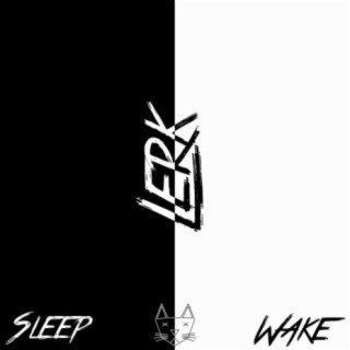 Sleep/Wake