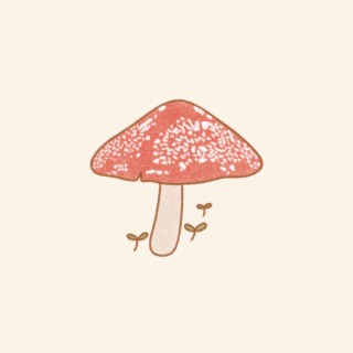 Mushroom's Life
