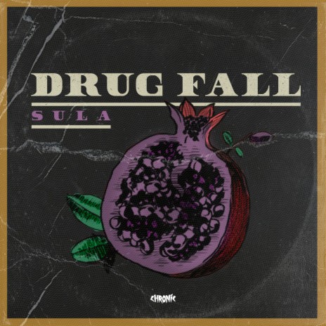 Drug Fall | Boomplay Music