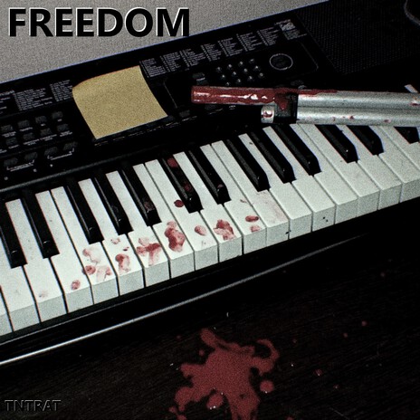 Freedom | Boomplay Music