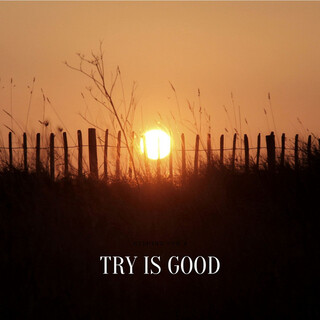 TRY IS GOOD