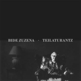 Bide zuzena teilaturantz