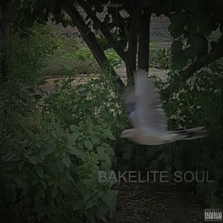 Bakelite Soul