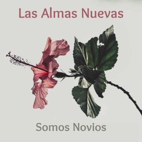 Somos Novios | Boomplay Music