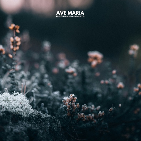 Ave Maria ft. Eddy Ruyter | Boomplay Music