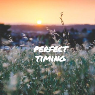 Perfect Timing lyrics | Boomplay Music