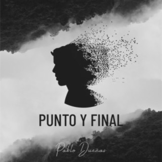 Punto y final