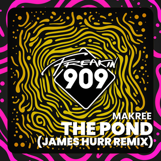 The Pond (Remixed)