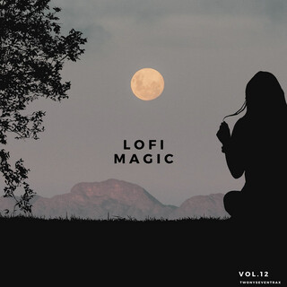 Lofi Magic, Vol. 12