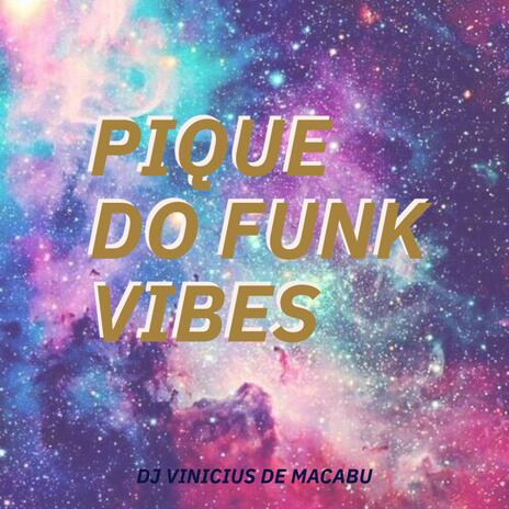 PIQUE DO FUNK VIBES | Boomplay Music