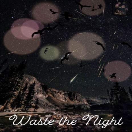 WASTE THE NIGHT (slowed and reverb) | Boomplay Music